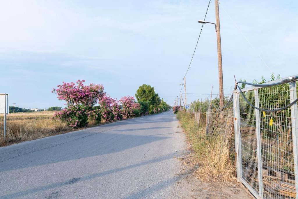 Zografia - Charming House Near The Coast Apartment Marmari  Luaran gambar